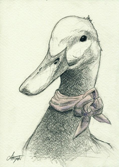 Duck Illustration, Duck Drawing, Animal Drawings Sketches, Duck Art, Merch Ideas, Illustration Art Drawing, Art Drawings Sketches Creative, Pencil Art Drawings, Animal Sketches