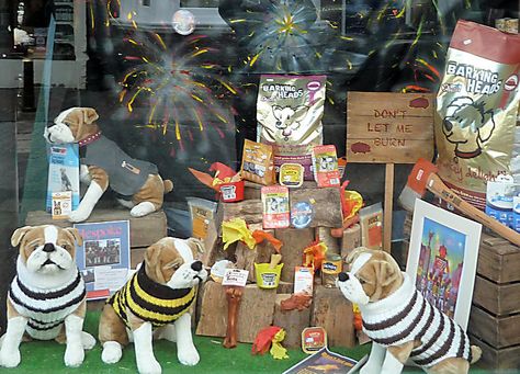 Lewes Bonfire Night, Pet Store Display, Pet Store Design, Pet Store Ideas, Pet Care Business, Event Booth Design, Retail Ideas, Dog Window, Holiday Window Display