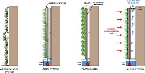 Interior Green Wall, Wall Section Detail, Green Facade, Air Filtration System, Architecture Concept Diagram, Senior Project, Detailed Drawings, Living Wall, How To Design