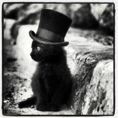 Kitty in a top hat Baby Black Cat, Dr. Seuss, Slaap Lekker, Black Kitten, Big Dreams, Cat Hat, Crazy Cat Lady, Cuteness Overload, Top Hat