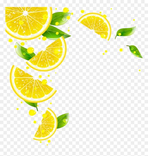 Ice Cube Png, Lemon Vector, Lemon Png, Lemon Background, Lemon Biscuits, Nude Color Palette, Juice Ice Cubes, Product Poster, Procreate Ipad Tutorials