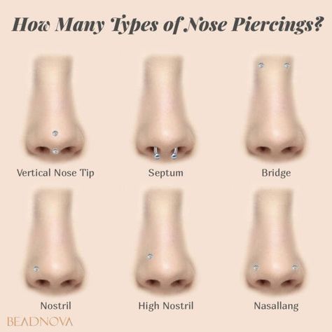 Different Piercings Names, Mouth Piercings Chart, Pericings And Names, Persings Eyebrow, Nose Piercing Chart, Piercings And Tattoos, Pearl Bridge Piercing, Types Of Body Piercings, Venom Tongue Piercing