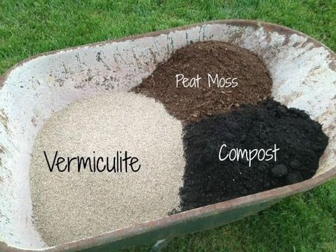 Raised Garden Bed Soil, Soil Mixture, Gemüseanbau In Kübeln, Raised Bed Gardening, Vegetable Garden Raised Beds, Building A Raised Garden, Starting A Garden, Veg Garden, Home Vegetable Garden