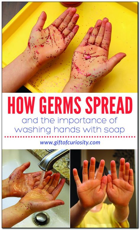 Human Body Activity: How Germs Spread - Gift of Curiosity Germs Science Experiment, How Germs Spread Activity, My Body Science Preschool, Preschool Healthy Bodies, Hand Washing Experiment, Personal Care Activities For Preschool, Pre K Germs Lesson, Germ Science Experiment Preschool, Washing Hand Activity