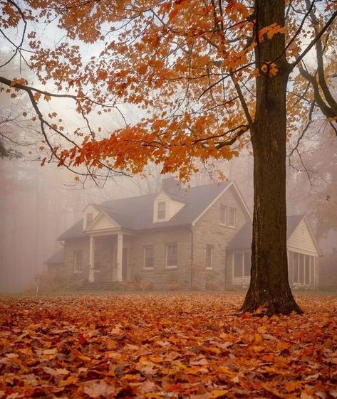 Vintage Fall Photos, Halloween Aethstetic, Witch Halloween Aesthetic, Fall Witch Aesthetic, Witchy Fall Aesthetic, Autumn Vintage Aesthetic, Autumn Witch Aesthetic, Fall Vintage Aesthetic, Vintage Autumn Aesthetic