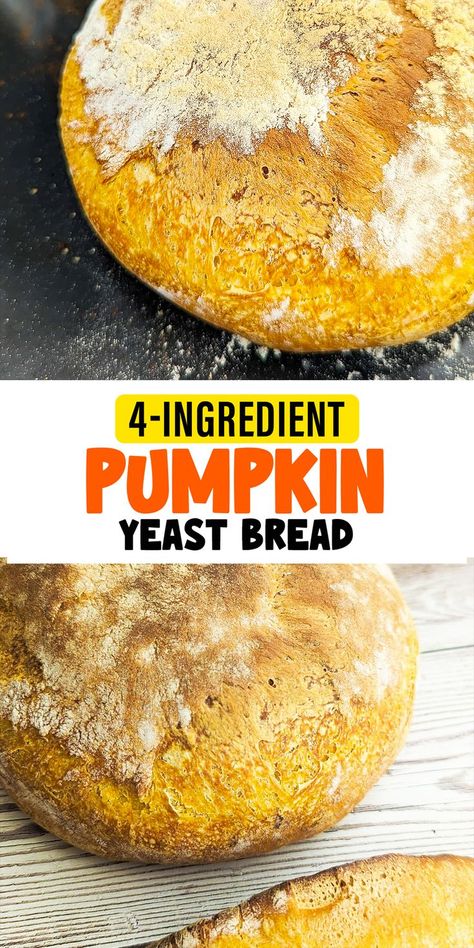 Pumpkin Yeast Bread Recipe, Rosemary Parmesan Bread, Pumpkin Yeast Bread, Family Breakfast Recipes, Chewy Bread, Parmesan Bread, Fall Snacks, Sweet Pumpkin, Yeast Bread