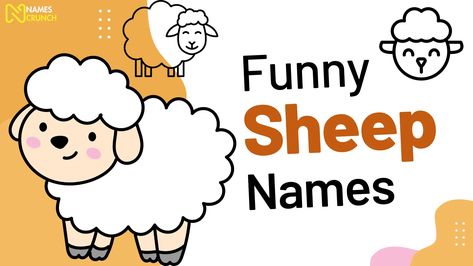 Pinterest board titled "Shear Laughter: Funny Sheep Names." Discover a collection of humorous and creative names for sheep, perfect for sheep enthusiasts and lovers of witty wordplay. Share laughs with your woolly friends! 🐑🤣 #FunnySheepNames #SheepHum Herd Of Sheep, Sheep Names, Fleece Navidad, Names Cute, Funny Sheep, Funny Names, Comedians, Sheep, Humor