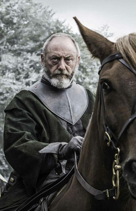 Davos Seaworth, Liam Cunningham, House Baratheon, Game Of Thrones Series, Character Bank, Game Of Thrones Tv, A Dance With Dragons, Fire And Blood, Dark Men