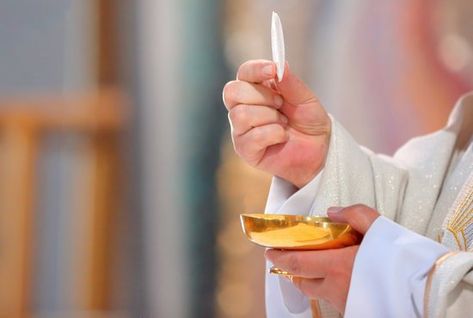 The Eucharist and the forgiveness of sins Spiritual Communion Prayer, Communion Prayer, Catholic Answers, Eucharistic Adoration, The Eucharist, High Priest, Youth Ministry, Eucharist, First Holy Communion