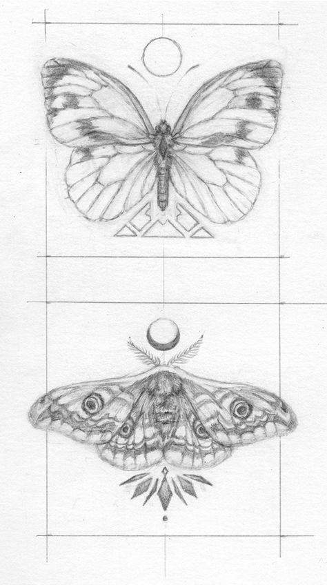 Moth And Butterfly Art, Moth Tattoo No Shading, Detailed Moth Drawing, Step By Step Moth Drawing, Butterfly And Moth Drawing, Moth Tattoo Lower Back, Moth And Butterfly Tattoo Design, Moth Drawing Sketch, Moth Vs Butterfly Tattoo