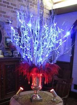 Fire & Ice: 2000 dyed, wired and backlit emu feathers make a soft transition for the the Front Gate urn. 60" LED branches illuminate 100 chandelier jewelry and 9 yards of crystal garland purchased from Accent Decor. Emu feathers were collected from my emus naturally. Fire And Ice Prom, Fire N Ice, Prom Decorations, Homecoming Themes, Ice Party, Gala Themes, Prom Themes, Crystal Garland, Fox Hunt