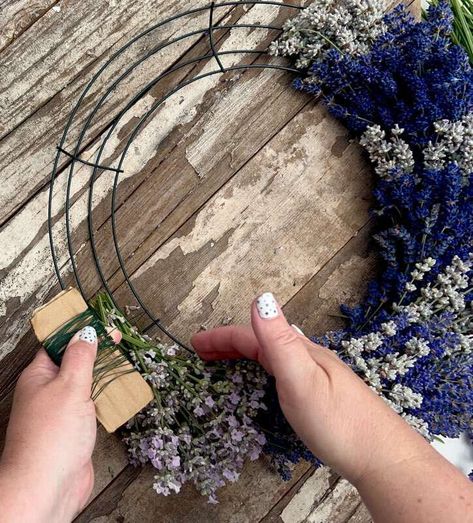 DIY Lavender Wreath Making | CarriageHouseLavendr Lavender Wreath Diy, Lavender Wreaths, Lavender Plant Care, Lavender Care, Diy Lavender, Wire Wreath Forms, Lavender Wreath, English Lavender, A Beautiful Flower