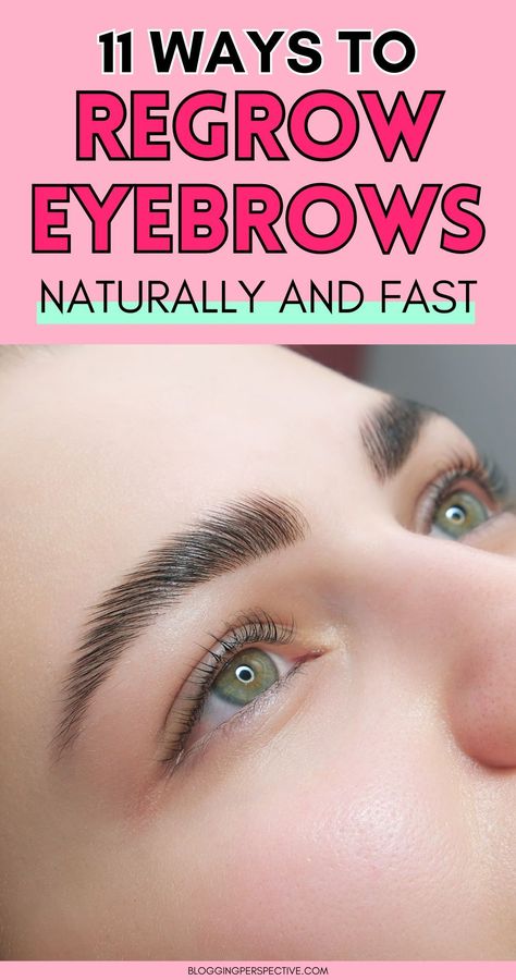 Natural Eyebrow Growth, Eyebrow Growth Remedies, Growing Out Eyebrows, Grow Eyebrows Faster, Regrow Eyebrows, Eyebrow Tips, Brow Hacks, How To Make Eyebrows, Grow Eyebrows