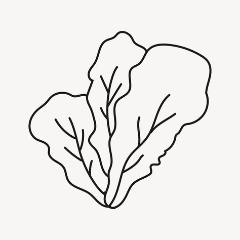 Salad Doodle, Lettuce Illustration, Doodle Line Art, Salad Lettuce, Dibujo Simple, Food Salad, Line Art Illustration, Lettuce Salad, Illustration Food