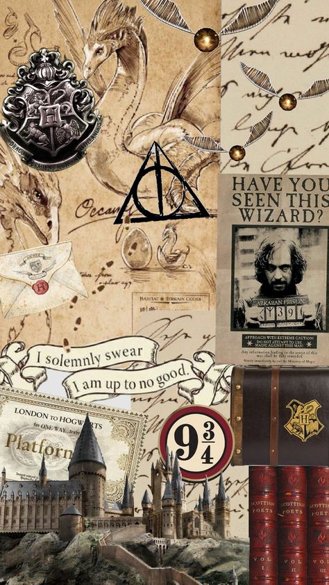 harry potter wallpapper Harry Potter Harry Potter Wallpaper, Hogwarts Collage, Harry Potter Wall Collage, Harry Potter Lockscreen, Harry Potter Wallpaper Aesthetic, Harry Potter Wallpapers, Harry Potter Collage, Harry Potter Vibes, Harry Potter Planner