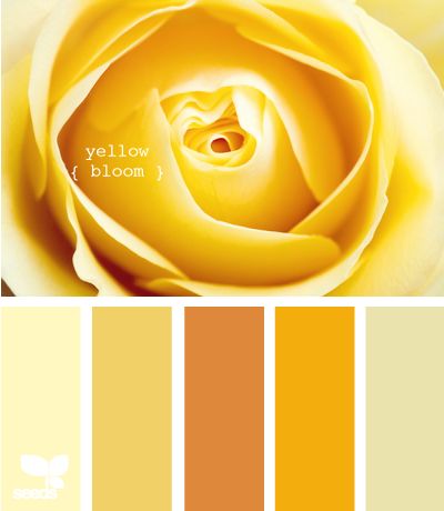 Yellow Tones Palette, Kitchen Shades, Yellow Palette, Seeds Color, Happy Yellow, Yellow Hues, Design Seeds, Yellow Walls, Color Balance