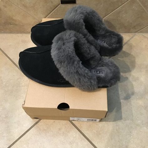 Ugg Women's Scuffette Slipper Ugg Slippers Outfit, Ugg Scuffette Slippers, Slipper Outfit, Slippers Outfit, Ugg Scuffette, Suede Slippers, Grey Trim, Ugg Slippers, Shoe Inspo