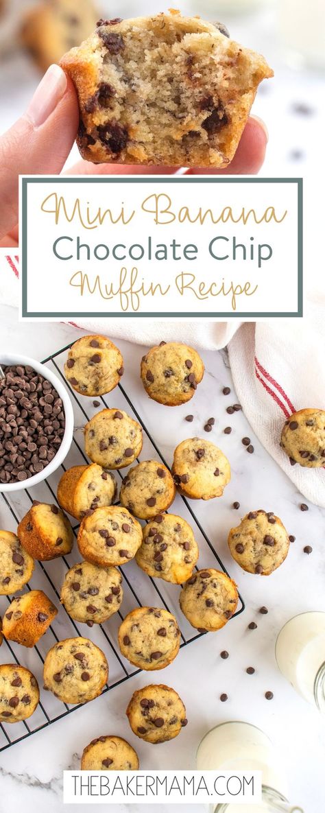 Moist, chocolatey, easy-to-make Mini Banana Chocolate Chip Muffins are bite-sized perfection. With pantry staples and some overripe bananas, you can have these delicious muffins in a matter of minutes! Perfect for a quick breakfast or a yummy after school snack, these Mini Banana Chocolate Chip Muffins are bite-sized bliss! The muffins are soft and moist, chocolatey and just the right amount of sweet. Banana Ideas Easy, Banana Choc Chip Mini Muffins, Mini Muffin Banana Bread, Mini Chocolate Chip Muffins Little Bites, Banana Bread Mini Muffins Recipe, Banana Muffins With Two Bananas, Mini Banana Chocolate Chip Muffins Healthy, 2 Banana Chocolate Chip Muffins, Mini Choc Chip Muffins