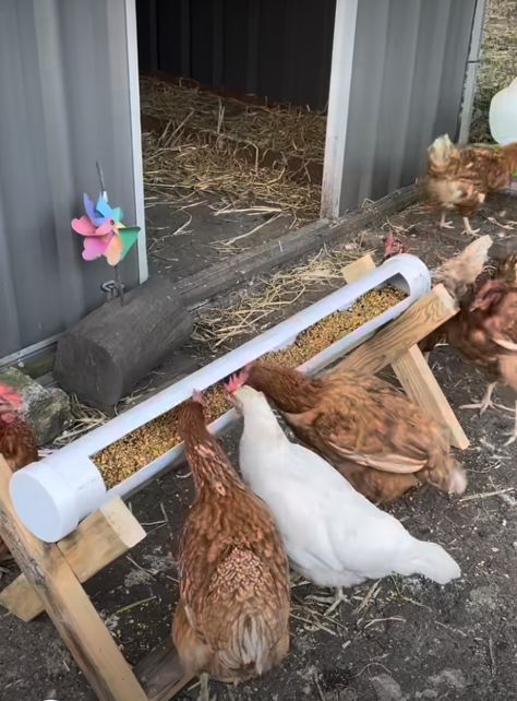 Reban Ayam, Chicken Rearing, Chicken Feeder Diy, Cute Chicken Coops, Easy Chicken Coop, Chicken Coop Garden, Chicken Shed, Chicken Barn, Chicken Pen