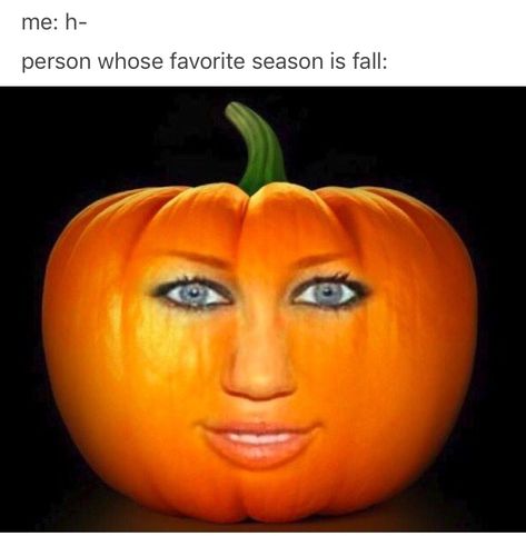 Floptok Humor, Pumpkin Meme, Rpdr Funny, Disgusted Face, Funny Pix, Pin Up Outfits, Snapchat Funny, Silly Faces, Roblox Funny