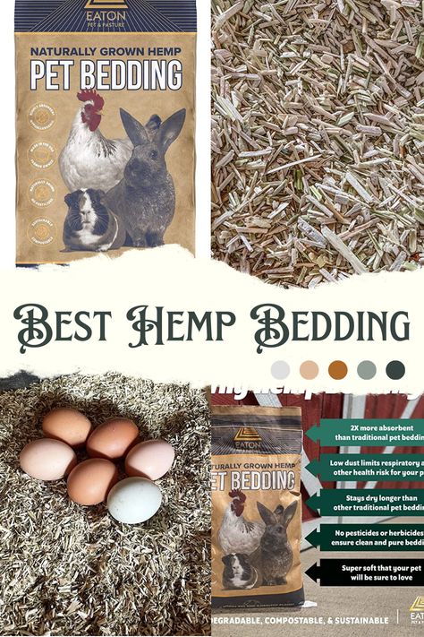 CLEAN & PURE. Our hemp is grown without pesticides or herbicides to ensure a completely clean and pure bedding. EFFECTIVELY ABSORBENT & HYPOALLERGENIC. Hemp absorbs 2x more than traditional bedding and stays dry much longer than other materials. SUPER SOFT & COZY. Made from 100% naturally grown hemp. SUSTAINABLE, BIODEGRADABLE AND COMPOSTABLE. One of the most sustainable plants on the planet . MADE IN THE USA & FARMER OWNED. #chicken #ad #associate Hemp Bedding For Chickens, Traditional Bedding, Chicken Coop Garden, Chicken Shed, Duck Coop, Chicken Nesting Boxes, Traditional Bed, Natural Cat, Nesting Boxes