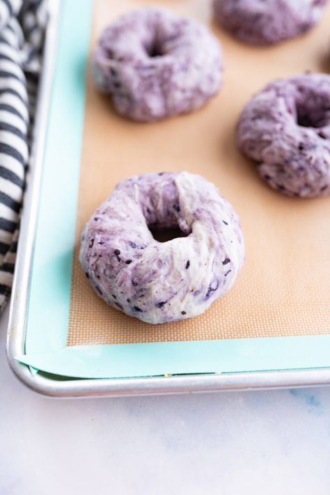 Risen blueberry bagels on a tray before being baked. Easy Blueberry Bagel Recipe, Bagel Recipe Blueberry, Keto Blueberry Bagels, Blueberry Bagels Recipe Homemade, Homemade Blueberry Bagels, Blueberry Bagel Recipe, Blueberry Bagels, Healthy Bagel, Whole Wheat Bagel