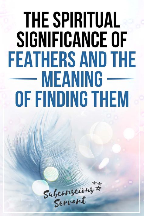 Feather Symbolism Meaning, Feathers And Their Meanings, Feather Meaning Symbols Spiritual, Finding Feathers Meaning, Grey Feather Meaning, White Feather Meaning, Native American Feather Tattoo, Finding Feathers, Feather Meaning