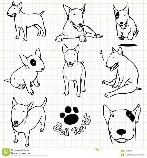 Bull terrier dog stock illustration. Illustration of collection - 61975566 Bull Terrier Tattoos, Bull Terrier Drawing, Bullterrier Art, Mini Bull Terrier, Bull Terrier Tattoo, Bull Terrier Funny, Bull Terrier Art, Mini Bull Terriers, Dog Line Art