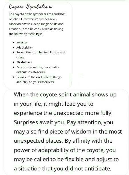 Coyote Symbolism Coyote Spirit Animal Meaning, Coyote Symbolism, Halloween Meaning, Bone Witch, Coyote Animal, Spirit Animal Meaning, Supernatural Creatures, Animal Meanings, Animal Guides