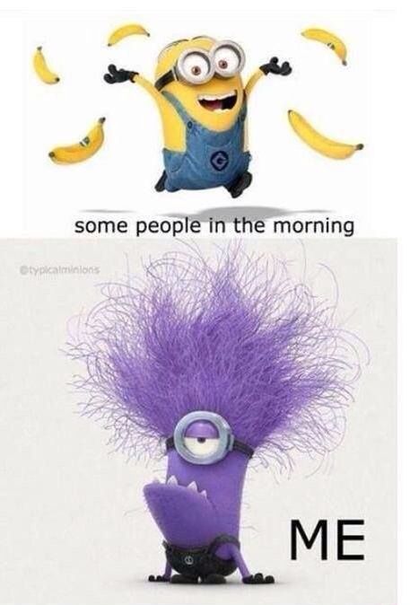 I'm so not a morning person Minion Humour, Purple Minions, Jokes For Teens, Funny Minion Memes, Minion Pictures, Minion Jokes, Minions Love, Evil Minions, A Minion