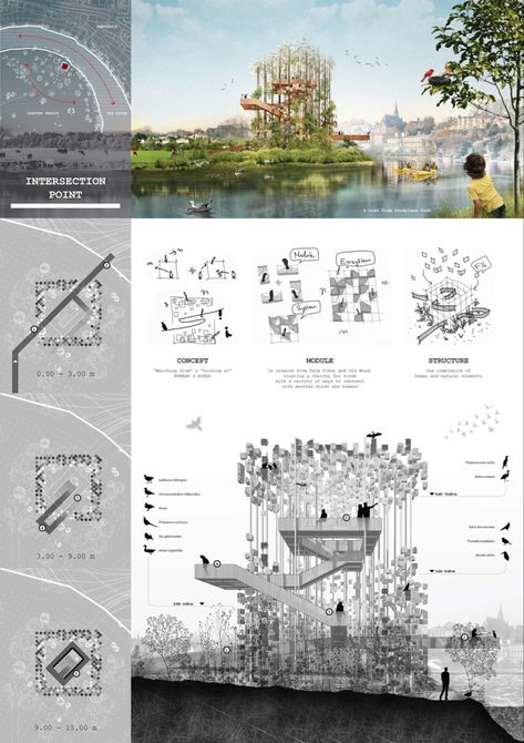 /architecture competition design winner scheme Bird Park Architecture, Bird Habitat Landscape Design, Bird Park Design, Bird Watching Pavilion, Bird Watching Architecture, Bird Sanctuary Architecture, Birds Architecture, Bird Architecture, Bird Watching Tower