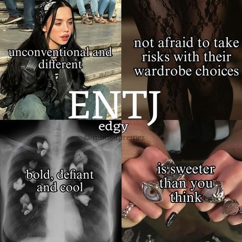 Entj Personality Women, Entj Outfit, Entj Vibes, Entj Female, 16 Personalities Intj, Entj Core, 16 Personalities Enfp, Entj Aesthetic, Entj Humor