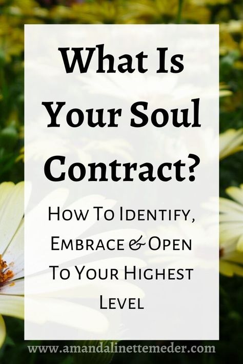 Occult Library, Soul Group, Soul Contracts, What Is A Soul, Soul Awakening, Soul Retrieval, Philadelphia Flower Show, Higher Purpose, Field Journal