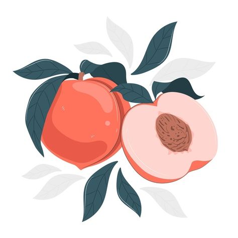 Vector Fruit Illustration, Peach Art Aesthetic, Peach Illustration Cute, Peaches Illustration, Apricot Illustration, Peaches Graphic, Simple Illustration Art, Peach Branding, Fruit Illustration Art