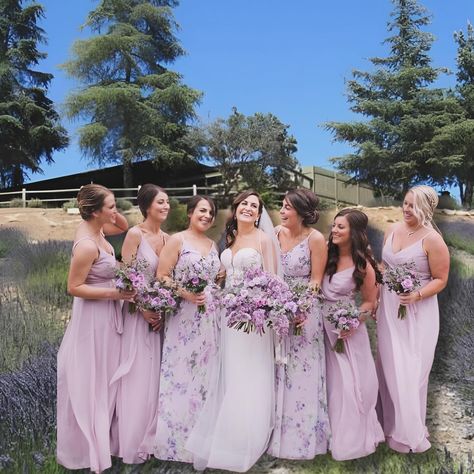 A lavender farm makes for a stunning wedding venue 💜 . . . #weddingideas #weddingplanning #weddingdecor #weddingcake #purplewedding #lavenderwedding #weddinginspiration Light Purple And Pink Wedding Theme, Light Purple And Pink Wedding, Lavender Bridesmaid Dresses Mismatched, Lilac Purple Wedding Theme, Speak Now Wedding, Light Lavender Wedding, Lavender And Peach Wedding, Lavender Wedding Ceremony, Peach And Lavender Wedding