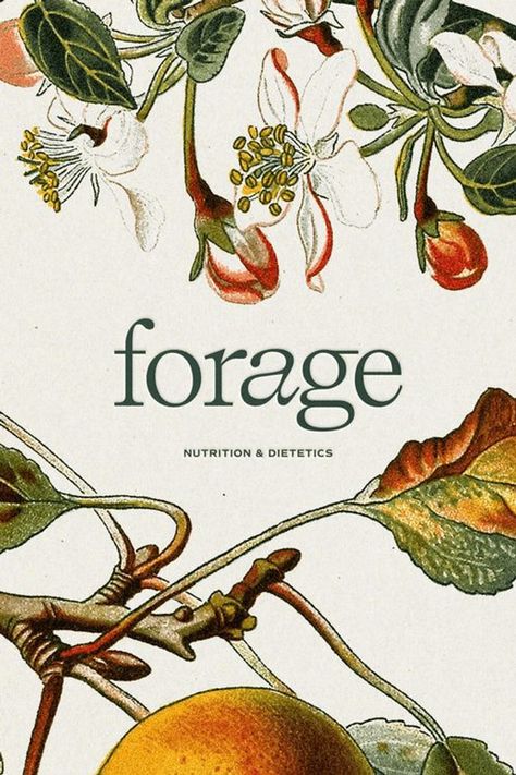 Forage Nutrition Project Showcase by Hello Magic Studio | Branding & Showit Website Design | For nutritionists, dietitians, therapists and photographers, branding business, small business branding, unique branding ideas, US branding service, New York branding service, Canada branding service, showcase project, branding project, branding design, elevated branding design, Showit website design, Forage Nutrition branding project, brand identity, branding strategy, visual branding, branding ideas Flower Brochure Design, Scientific Branding, Nutritionist Logo, Nutritionist Branding, Graphic Designer Studio, Logo Branding Design, Nutrition Branding, Lets Talk, Designer Studio