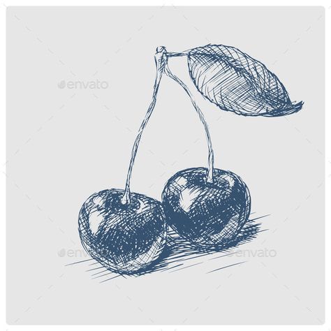 Cherry Fruit Hand Drawn Blue Sketch Vector Fruit Pen Drawing, Cherries Sketch, Cherry Art Drawing, Drawing Ideas Fruit, Cherries Drawing, Fruit Sketches, Fruits Sketch, Sketch Fruit, Drawing Cherry