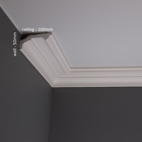 Low Ceiling Trim, Low Ceiling Coving, Coving Ideas, Ceiling Molding Ideas, Cove Moulding, Plaster Ceiling Rose, Molding Ceiling, Trim Carpentry, Ceiling Trim