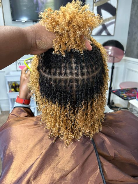 Shes locd in and here to stay! Consultations available for August/Sept https://krownedbylisha.as.me/ Service: Microloc Twists Size: Smedium Maintenance: Interlocking Location: NE Columbia, SC #ColumbiaLocs #Selfcare #Tinylocs #SmallLocs #Loclife #sisterlocks #MicroLocs #twostrandtwists #interlocs #braidlocs #twistlocs #fyp #Starterlocs #microlocinstall #locconsultation #curlylocs #foryou #fypviral #trending #microlocsjourney #locmaintenance #sclocs #galocs #atllocs #texaslocs #nclocs #c... Dreadlocks Hair Care, Micro Locs, Two Strand Twists, Starter Locs, Sisterlocks, Columbia Sc, Loc Styles, Hair Day, Locs