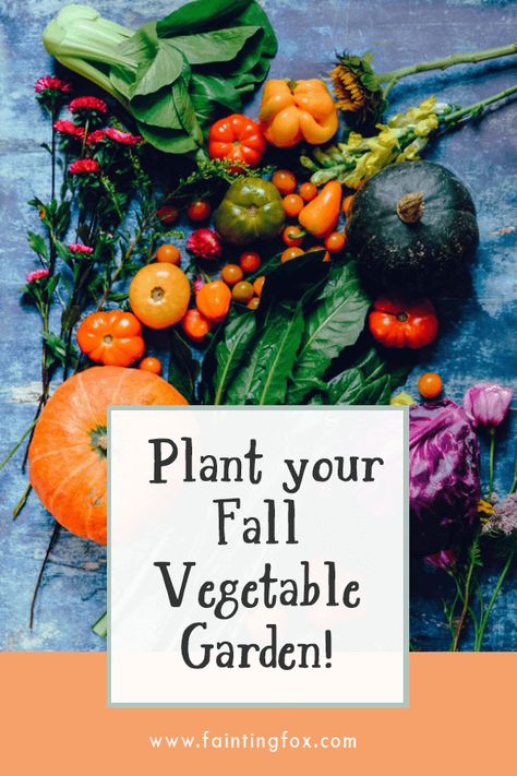 What Can You Plant in a Fall Vegetable Garden? - Fainting Fox Farm Zone 8 September Planting, Planting In September Zone 8, What To Plant In September In Texas, Fall Winter Garden Zone 8, Zone 8 Fall Garden, Fall Planting For Zone 8, Fall Garden Vegetables Zone 8, When To Plant Pumpkins, Zone 9 Gardening