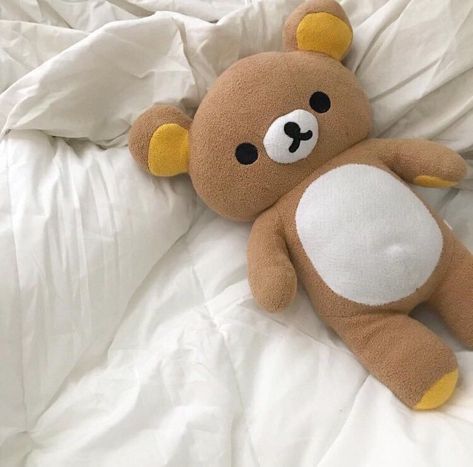 Great for cuddles🐻 #rilakkuma #japan #japanese #plushies #kawaii #bear Teddy Bear, Bed