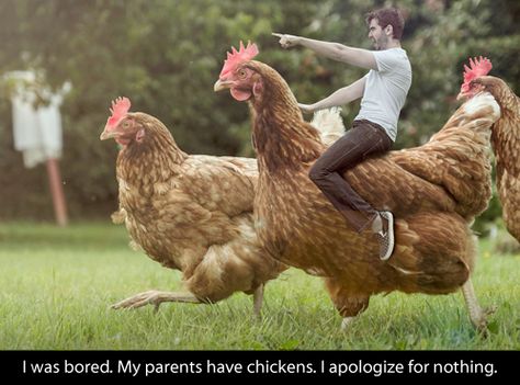 I was bored. My parents have chickens. I apologize for nothing. Creative Writing Pictures, Photo Writing Prompts, Time Meme, Writing Pictures, Writing Prompts For Kids, Picture Writing Prompts, Video Show, Picture Prompts, Creative Writing Prompts