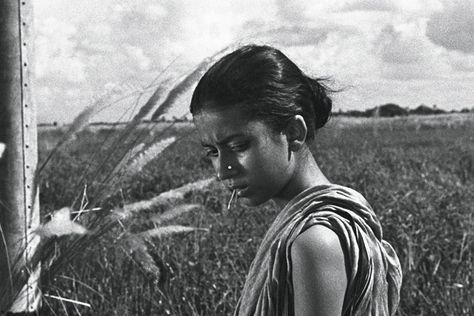 Apu Trilogy, Pather Panchali, Persona Ingmar Bergman, Film Reference, Umbrellas Of Cherbourg, Robert Bresson, Scenes From A Marriage, Park Chan Wook, Satyajit Ray