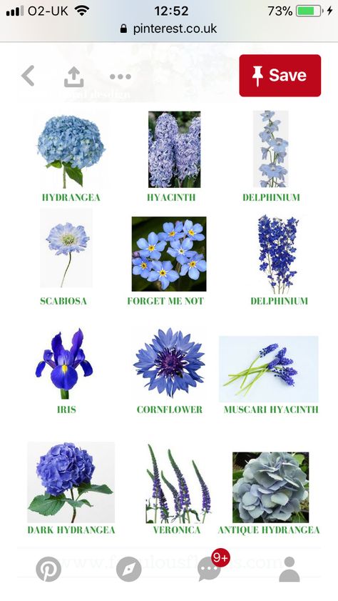 Blue Flower Names, Pretty Flower Names, Types Of Blue Flowers, Flower List, Chinoiserie Wedding, Simple Wedding Bouquets, Sunflower Illustration, Types Of Blue, Event Florals