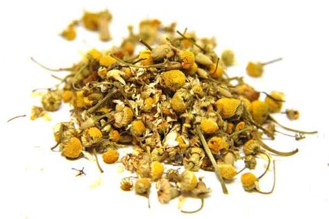 10 Spiritual Benefits of Chamomile (+ How to Use it for Protection & Prosperity) Spiritual Herbs, Benefits Of Chamomile, Chamomile Plant, Prosperity Spell, Chamomile Essential Oil, Herbal Magic, Chamomile Tea, Clear Your Mind, Finding True Love