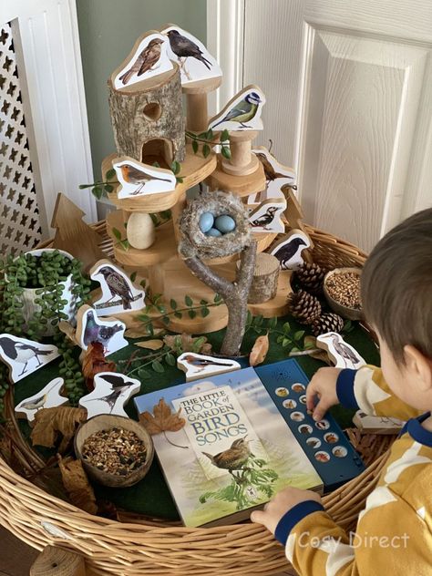 The Big Garden Bird Watch - Activities with Children | The Cosy Blog Big Garden Bird Watch Activities, Reggio Bird Provocation, Birds Activities Preschool, Bird Activities Preschool, Forest School Activities, Eyfs Activities, Nature School, World Birds, Tuff Tray