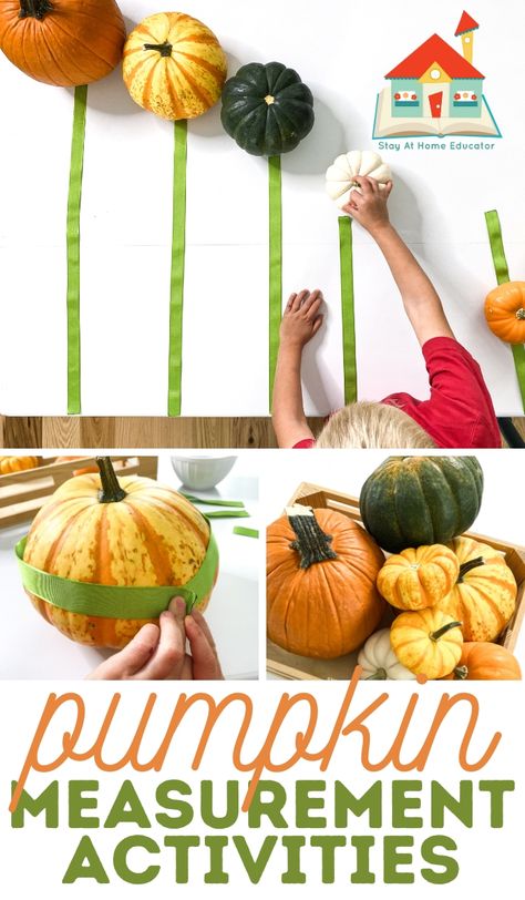 Measurement Preschool, Math Activity For Preschool, Pumpkin Math Activities, Preschool Pumpkin, Autumn Preschool Theme, Pumpkins Preschool, Preschool Theme Activities, Fall Math Activities, Pumpkin Math