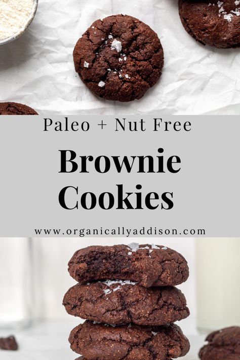 These Paleo Brownie Cookies are easy, healthy and delicious! They are Paleo, Gluten Free and Nut Free. The cookies are rich, intense, and filled with dark chocolate. A healthy dessert or baked good! #paleo #glutenfree #grainfree #nutfree #cookies #baking #recipe #recipeoftheday Nut Free Desserts, Paleo Brownies, Best Paleo Recipes, Paleo Cookies, Paleo Recipes Dessert, Nut Free Recipes, Paleo Baking, Clean Eating Desserts, Paleo Sweets