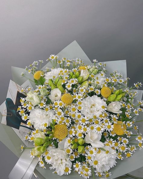 Roses Varieties, White Daisy Bouquet, Daisy Flower Arrangements, Bouquet Styles, Wedding Bouquet Ideas, Flower Boquet, Flower Types, Prettiest Bouquet, Winter Bouquet