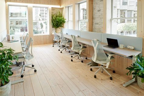 Yves Behar opens Canopy co-working location in historic San Francisco building Modern Corporate Office Design, Modern Corporate Office, Sayl Chair, Shared Workspace, San Francisco Design, Corporate Office Design, Eames Chairs, Workspace Design, Financial District